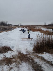 Rivers Wetlands Project